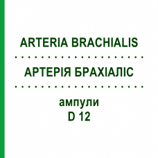АРТЕРИЯ БРАХИАЛИС (ARTERIA BRACHIALIS) D 12 ампулы 10x1 мл - Гомеопатия WALA HEILMITTEL