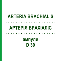 АРТЕРІЯ БРАХІАЛІС (ARTERIA BRACHIALIS) D 30 ампули 10x1 мл - Гомеопатія WALA HEILMITTEL