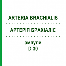 АРТЕРИЯ БРАХИАЛИС (ARTERIA BRACHIALIS) D 30 ампулы 10x1 мл - Гомеопатия WALA HEILMITTEL