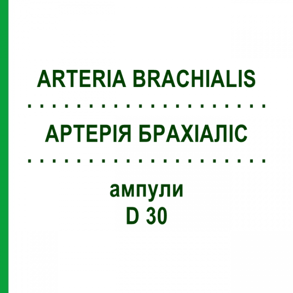АРТЕРИЯ БРАХИАЛИС (ARTERIA BRACHIALIS) D 30 ампулы 10x1 мл - Гомеопатия WALA HEILMITTEL