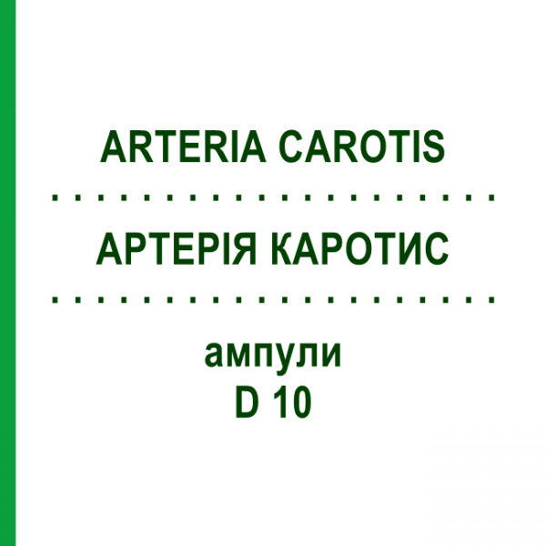 АРТЕРИЯ КАРОТИС (ARTERIA CAROTIS) D 10 ампулы 10x1 мл - Гомеопатия WALA HEILMITTEL