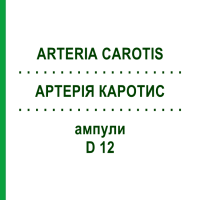 АРТЕРИЯ КАРОТИС (ARTERIA CAROTIS) D 12 ампулы 10x1 мл - Гомеопатия WALA HEILMITTEL