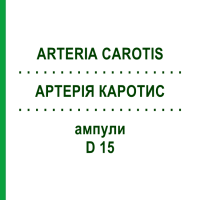АРТЕРІЯ КАРОТИС (ARTERIA CAROTIS) D 15 ампули 10x1 мл - Гомеопатія WALA HEILMITTEL