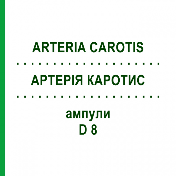 АРТЕРИЯ КАРОТИС (ARTERIA CAROTIS) D 8 ампулы 10x1 мл - Гомеопатия WALA HEILMITTEL