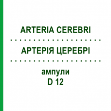 АРТЕРИЯ ЦЕРЕБРИ (ARTERIA CEREBRI) D 12 ампулы 10x1 мл - Гомеопатия WALA HEILMITTEL