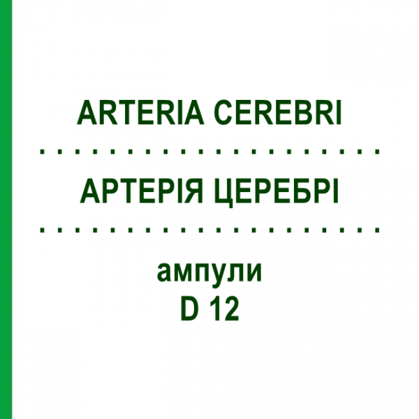 АРТЕРИЯ ЦЕРЕБРИ (ARTERIA CEREBRI) D 12 ампулы 10x1 мл - Гомеопатия WALA HEILMITTEL
