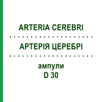 АРТЕРІЯ ЦЕРЕБРІ (ARTERIA CEREBRI) D 30 ампули 10x1 мл - Гомеопатія WALA HEILMITTEL