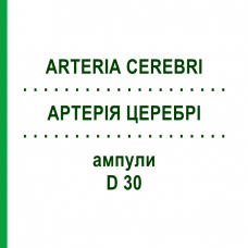 АРТЕРИЯ ЦЕРЕБРИ (ARTERIA CEREBRI) D 30 ампулы 10x1 мл - Гомеопатия WALA HEILMITTEL