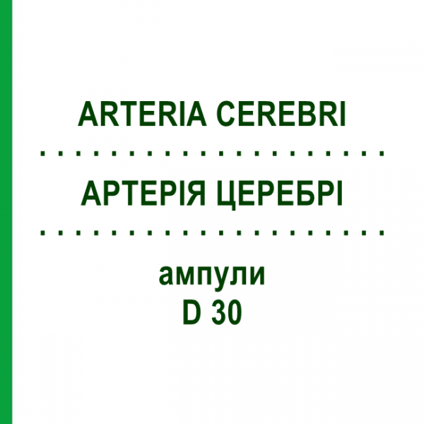 АРТЕРИЯ ЦЕРЕБРИ (ARTERIA CEREBRI) D 30 ампулы 10x1 мл - Гомеопатия WALA HEILMITTEL