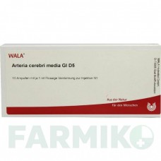 АРТЕРИЯ ЦЕРЕБРИ (ARTERIA CEREBRI) D 5 ампулы 10x1 мл - Гомеопатия WALA HEILMITTEL
