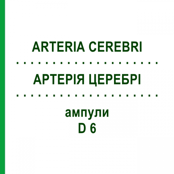 АРТЕРИЯ ЦЕРЕБРИ (ARTERIA CEREBRI) D 6 ампулы 10x1 мл - Гомеопатия WALA HEILMITTEL