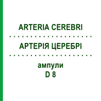 АРТЕРИЯ ЦЕРЕБРИ (ARTERIA CEREBRI) D 8 ампулы 10x1 мл - Гомеопатия WALA HEILMITTEL