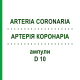 АРТЕРИЯ КОРОНАРИА (ARTERIA CORONARIA) D 10 ампулы 10x1 мл - Гомеопатия WALA HEILMITTEL