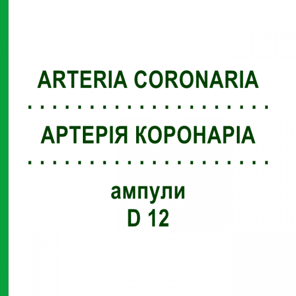 АРТЕРІЯ КОРОНАРІА (ARTERIA CORONARIA) D 12 ампули 10x1 мл - Гомеопатія WALA HEILMITTEL
