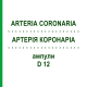 АРТЕРИЯ КОРОНАРИА (ARTERIA CORONARIA) D 12 ампулы 10x1 мл - Гомеопатия WALA HEILMITTEL