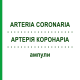АРТЕРИЯ КОРОНАРИА (ARTERIA CORONARIA) ампулы 10x1 мл - Гомеопатия WALA HEILMITTEL