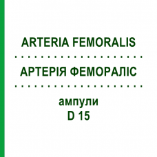 АРТЕРИЯ ФЕМОРАЛИС (ARTERIA FEMORALIS) D 15 ампулы 10x1 мл - Гомеопатия WALA HEILMITTEL