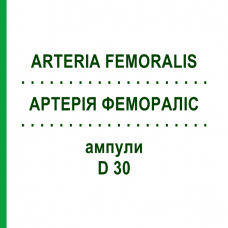 АРТЕРИЯ ФЕМОРАЛИС (ARTERIA FEMORALIS) D 30 ампулы 10x1 мл - Гомеопатия WALA HEILMITTEL