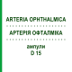 АРТЕРИЯ ОФТАЛМИКА (ARTERIA OPHTHALMICA) D 15 ампулы 10x1 мл - Гомеопатия WALA HEILMITTEL