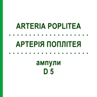 АРТЕРІЯ ПОПЛІТЕЯ (ARTERIA POPLITEA) D 5 ампули 10x1 мл - Гомеопатія WALA HEILMITTEL