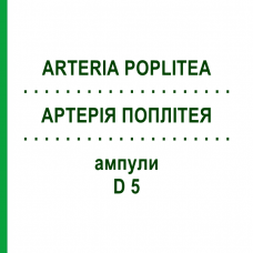 АРТЕРИЯ ПОПЛИТЕЯ (ARTERIA POPLITEA) D 5 ампулы 10x1 мл - Гомеопатия WALA HEILMITTEL