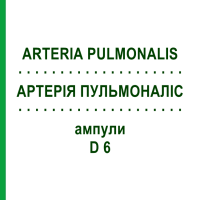 АРТЕРІЯ ПУЛЬМОНАЛІС (ARTERIA PULMONALIS) D 6 ампули 10x1 мл - Гомеопатія WALA HEILMITTEL