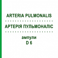 АРТЕРИЯ ПУЛЬМОНАЛИС (ARTERIA PULMONALIS) D 6 ампулы 10x1 мл - Гомеопатия WALA HEILMITTEL