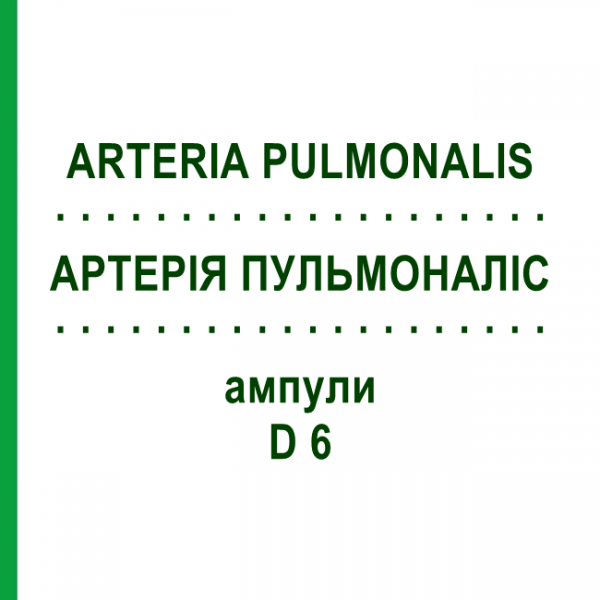 АРТЕРІЯ ПУЛЬМОНАЛІС (ARTERIA PULMONALIS) D 6 ампули 10x1 мл - Гомеопатія WALA HEILMITTEL