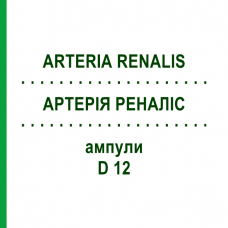 АРТЕРИЯ РЕНАЛИС (ARTERIA RENALIS) D 12 ампулы 10x1 мл - Гомеопатия WALA HEILMITTEL