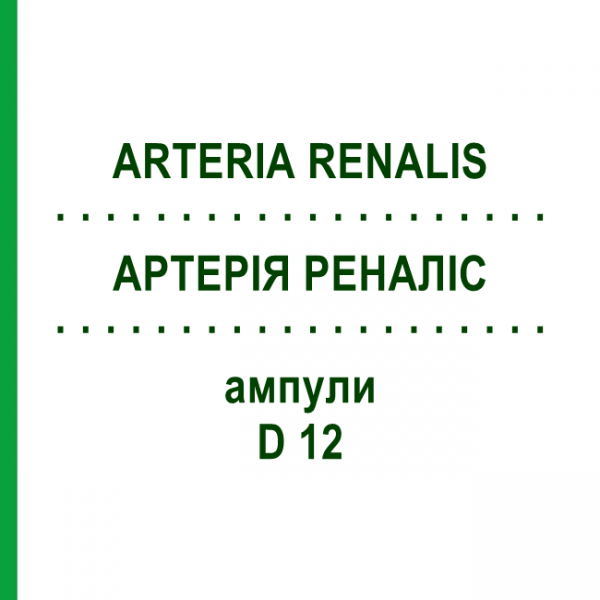 АРТЕРИЯ РЕНАЛИС (ARTERIA RENALIS) D 12 ампулы 10x1 мл - Гомеопатия WALA HEILMITTEL
