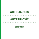 АРТЕРИЯ СУИС (ARTERIA SUIS) ампулы 10 шт - Гомеопатия BIOLOGISCHE HEILMITTEL HEEL