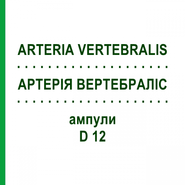 АРТЕРИЯ ВЕРТЕБРАЛИС (ARTERIA VERTEBRALIS) D 12 ампулы 10x1 мл - Гомеопатия WALA HEILMITTEL