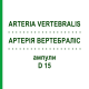 АРТЕРИЯ ВЕРТЕБРАЛИС (ARTERIA VERTEBRALIS) D 15 ампулы 10x1 мл - Гомеопатия WALA HEILMITTEL