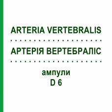 АРТЕРИЯ ВЕРТЕБРАЛИС (ARTERIA VERTEBRALIS) D 6 ампулы 10x1 мл - Гомеопатия WALA HEILMITTEL