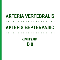 АРТЕРІЯ ВЕРТЕБРАЛІС (ARTERIA VERTEBRALIS) D 8 ампули 10x1 мл - Гомеопатія WALA HEILMITTEL