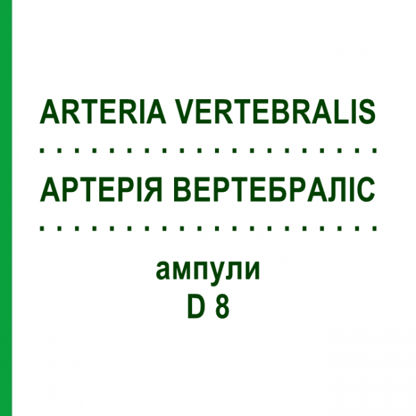 АРТЕРИЯ ВЕРТЕБРАЛИС (ARTERIA VERTEBRALIS) D 8 ампулы 10x1 мл - Гомеопатия WALA HEILMITTEL