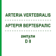 АРТЕРИЯ ВЕРТЕБРАЛИС (ARTERIA VERTEBRALIS) D 8 ампулы 10x1 мл - Гомеопатия WALA HEILMITTEL