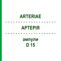 АРТЕРИЯ (ARTERIAE) D 15 ампулы 10x1 мл - Гомеопатия WALA HEILMITTEL