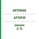 АРТЕРИЯ (ARTERIAE) D 15 ампулы 10x1 мл - Гомеопатия WALA HEILMITTEL
