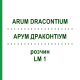 АРУМ ДРАКОНТИУМ (ARUM DRACONTIUM) LM 1 раствор 10 мл - Гомеопатия ARCANA DR.SEWERIN