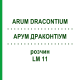 АРУМ ДРАКОНТИУМ (ARUM DRACONTIUM) LM 11 раствор 10 мл - Гомеопатия ARCANA DR.SEWERIN