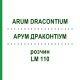 АРУМ ДРАКОНТИУМ (ARUM DRACONTIUM) LM 110 раствор 10 мл - Гомеопатия ARCANA DR.SEWERIN