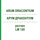 АРУМ ДРАКОНТИУМ (ARUM DRACONTIUM) LM 120 раствор 10 мл - Гомеопатия ARCANA DR.SEWERIN