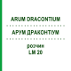 АРУМ ДРАКОНТИУМ (ARUM DRACONTIUM) LM 20 раствор 10 мл - Гомеопатия ARCANA DR.SEWERIN