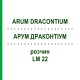 АРУМ ДРАКОНТИУМ (ARUM DRACONTIUM) LM 22 раствор 10 мл - Гомеопатия ARCANA DR.SEWERIN