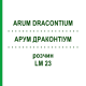 АРУМ ДРАКОНТИУМ (ARUM DRACONTIUM) LM 23 раствор 10 мл - Гомеопатия ARCANA DR.SEWERIN