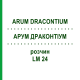 АРУМ ДРАКОНТИУМ (ARUM DRACONTIUM) LM 24 раствор 10 мл - Гомеопатия ARCANA DR.SEWERIN