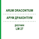 АРУМ ДРАКОНТИУМ (ARUM DRACONTIUM) LM 27 раствор 10 мл - Гомеопатия ARCANA DR.SEWERIN
