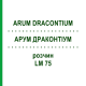 АРУМ ДРАКОНТИУМ (ARUM DRACONTIUM) LM 75 раствор 10 мл - Гомеопатия ARCANA DR.SEWERIN