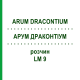 АРУМ ДРАКОНТИУМ (ARUM DRACONTIUM) LM 9 раствор 10 мл - Гомеопатия ARCANA DR.SEWERIN